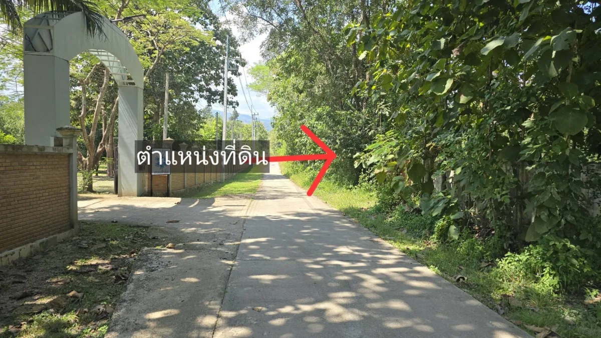 ขายที่ดินผืนใหญ่ 21 ไร่กว่า อ.แม่แตง เชียงใหม่ เพียง 14 ล้านบาท!