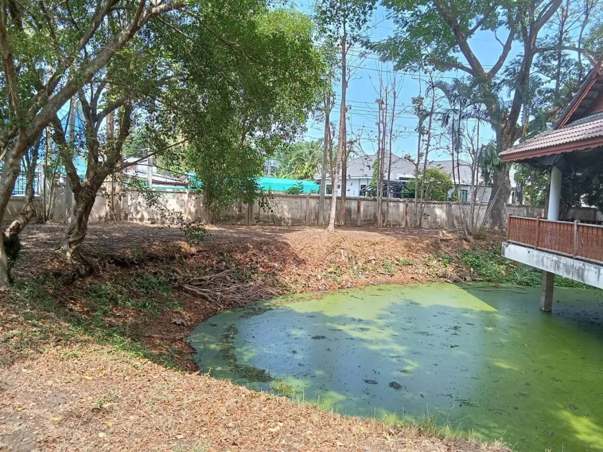 ขายด่วน! ที่ดินผืนใหญ่ วิวภูเขาสวย หนองควาย–หางดง เชียงใหม่