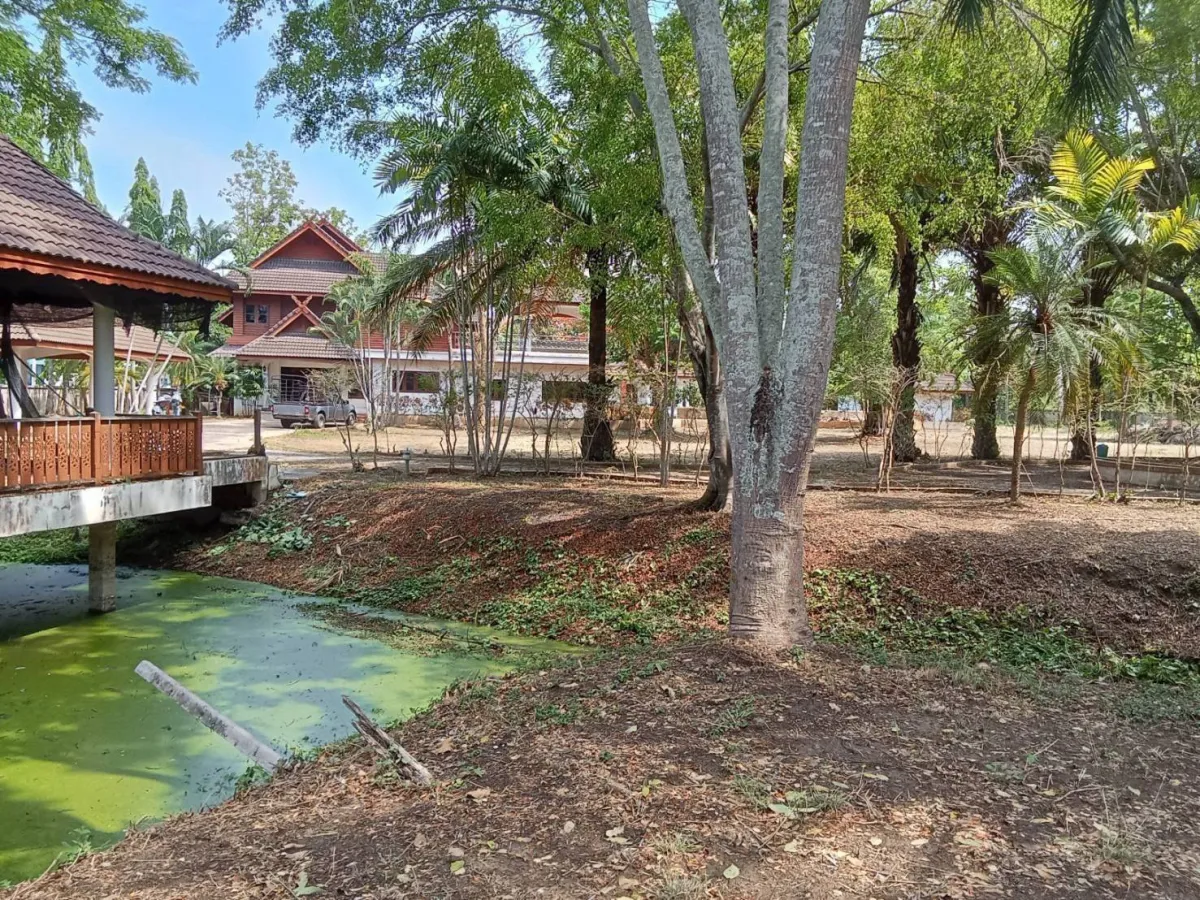 ขายด่วน! ที่ดินผืนใหญ่ วิวภูเขาสวย หนองควาย–หางดง เชียงใหม่