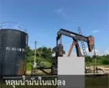 ขายที่ดิน 2 แปลงติดกัน อ.ฝาง จ.เชียงใหม่ พร้อมรายได้ค่าเช่า