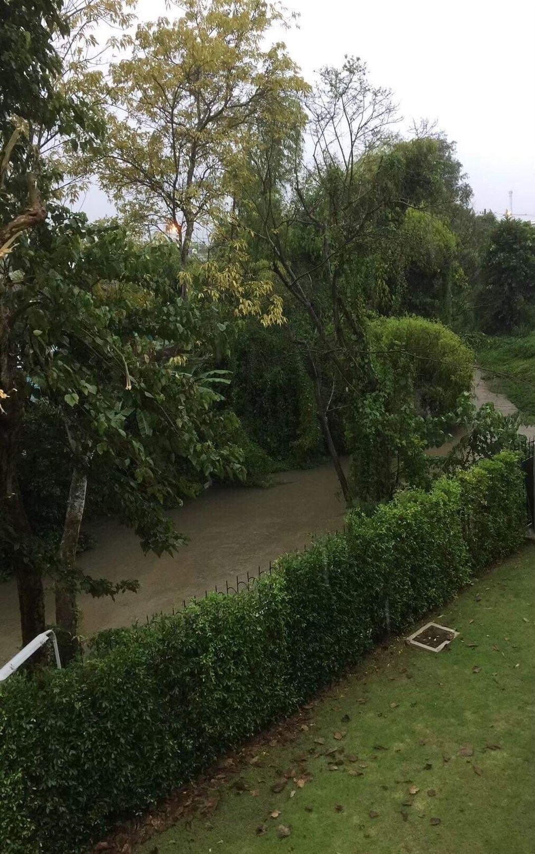 ขายต่ำกว่าราคาประเมิน 5.9 ล้าน 100.2 ตรว. ล้านนาเฮอริเทจ สารภี เฟอร์นิเจอร์ครบครัน พร้อมเข้าอยู่